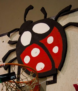 Coccinella