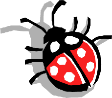 Coccinella